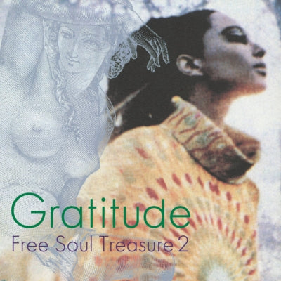 VA / GRATITUDE - SUBURBIA MEETS ULTRA-VYBE FREE SOUL TREASURE 2 (LP)