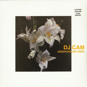 DJ CAM / UNDERGROUND VIBES (LP)