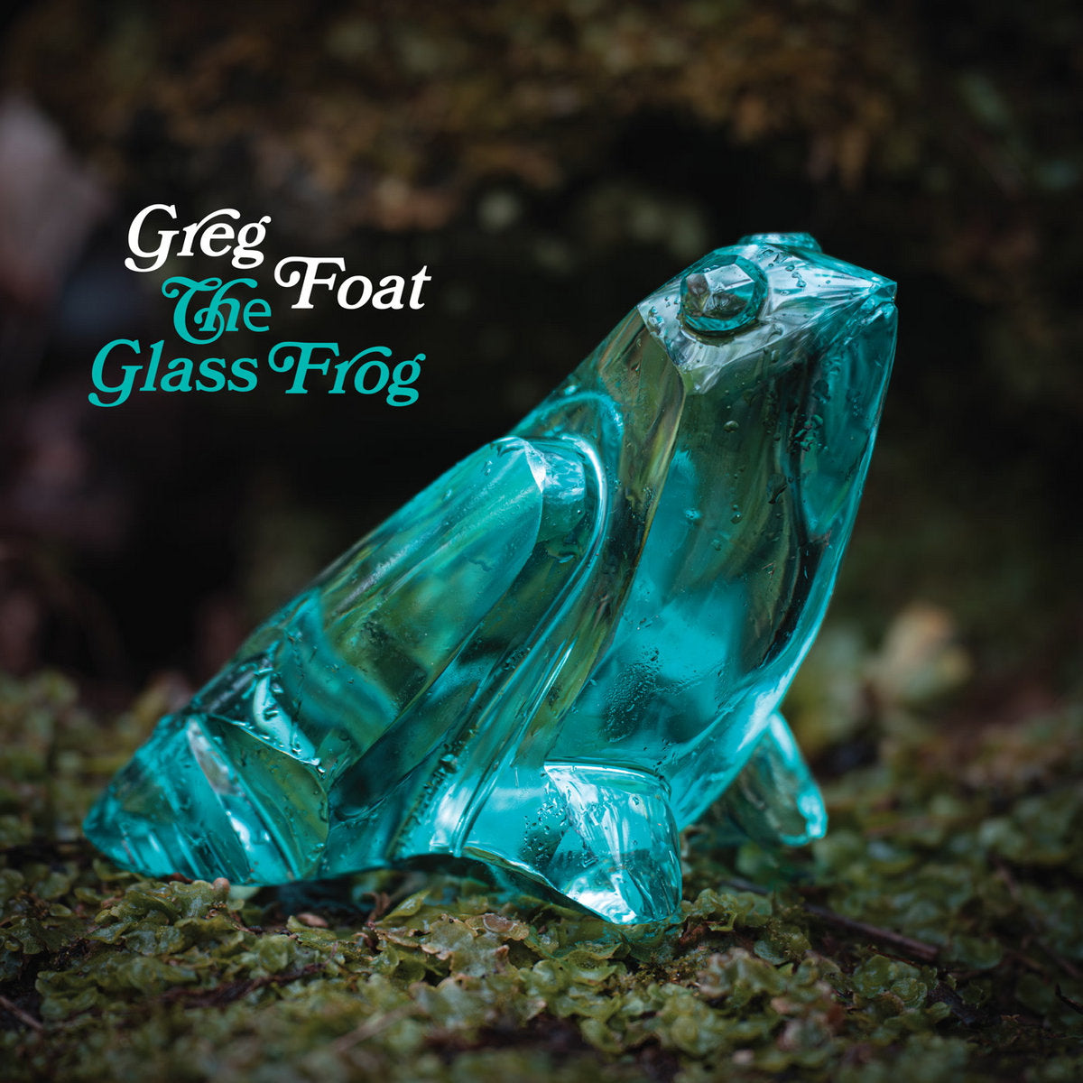 Greg Foat – The Glass Frog