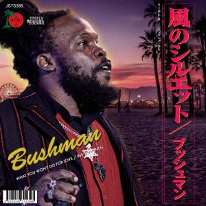 BUSHMAN - WHAT YOU WON'T DO FOR LOVE