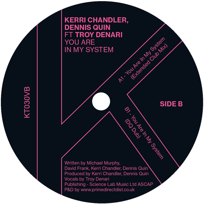 Kerri Chandler & Dennis Quin Featuring Troy Denari - You Are In My System