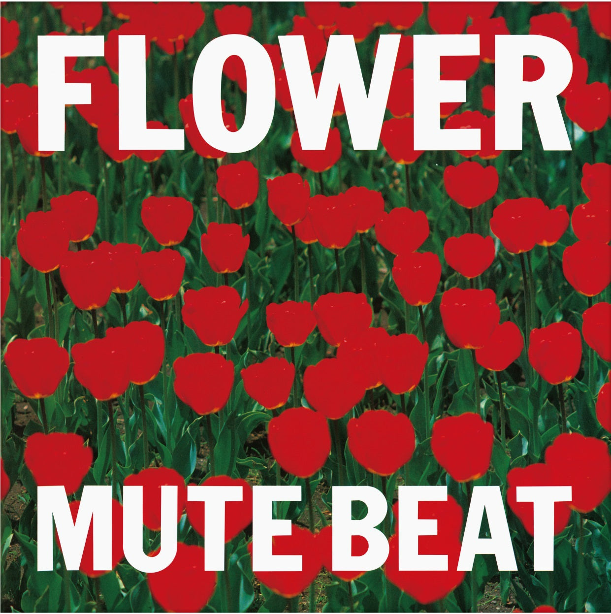 MUTE BEAT - FLOWER 【11/3レコードの日発売】