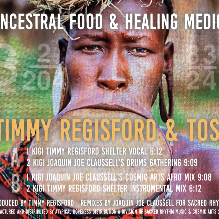 Ancestral Food & Healing Medicine Vol.2 presents Timmy Regisford & Toshi Tikolo - Kigi ( inc. Joe Claussell Remixes)