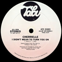 CHERRELLE / I DIDN'T MEAN TO TURN YOU ON