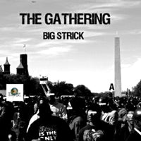 BIG STRICK / THE GATHERING