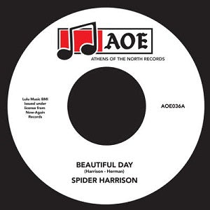 SPIDER HARRISON / BEAUTIFUL DAY (7 inch)