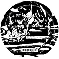 MR RAOUL K / BREAK YOUR CHAINS AND RETURN TO BOTSWANA (Incl. KAITO REMIX)