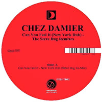 CHEZ DAMIER / CAN YOU FEEL IT (NEW YORK DUB)