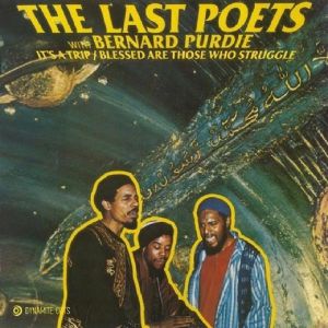 THE LAST POETS / IT'S A TRIP (7 inch)