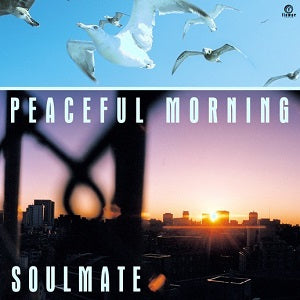 SOULMATE / PEACEFUL MORNING (7 inch) -RSD LIMITED-