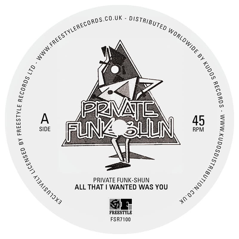 PRIVATE FUNK-SHUN / ALL THAT I WANTED WAS YOU  /  FANTASY (7 inch)