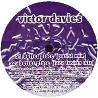 VICTOR DAVIES / BETTER PLACE (USED)