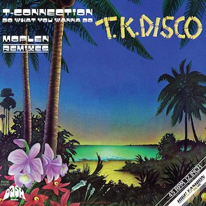 T-CONNECTION / DO WHAT YOU WANNA DO (MOPLEN REMIXES)