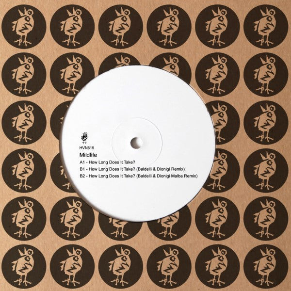 MILDLIFE / HOW LONG DOES IT TAKE (INC. DANIELE BALDELLI AND MARCO DIONIGI R