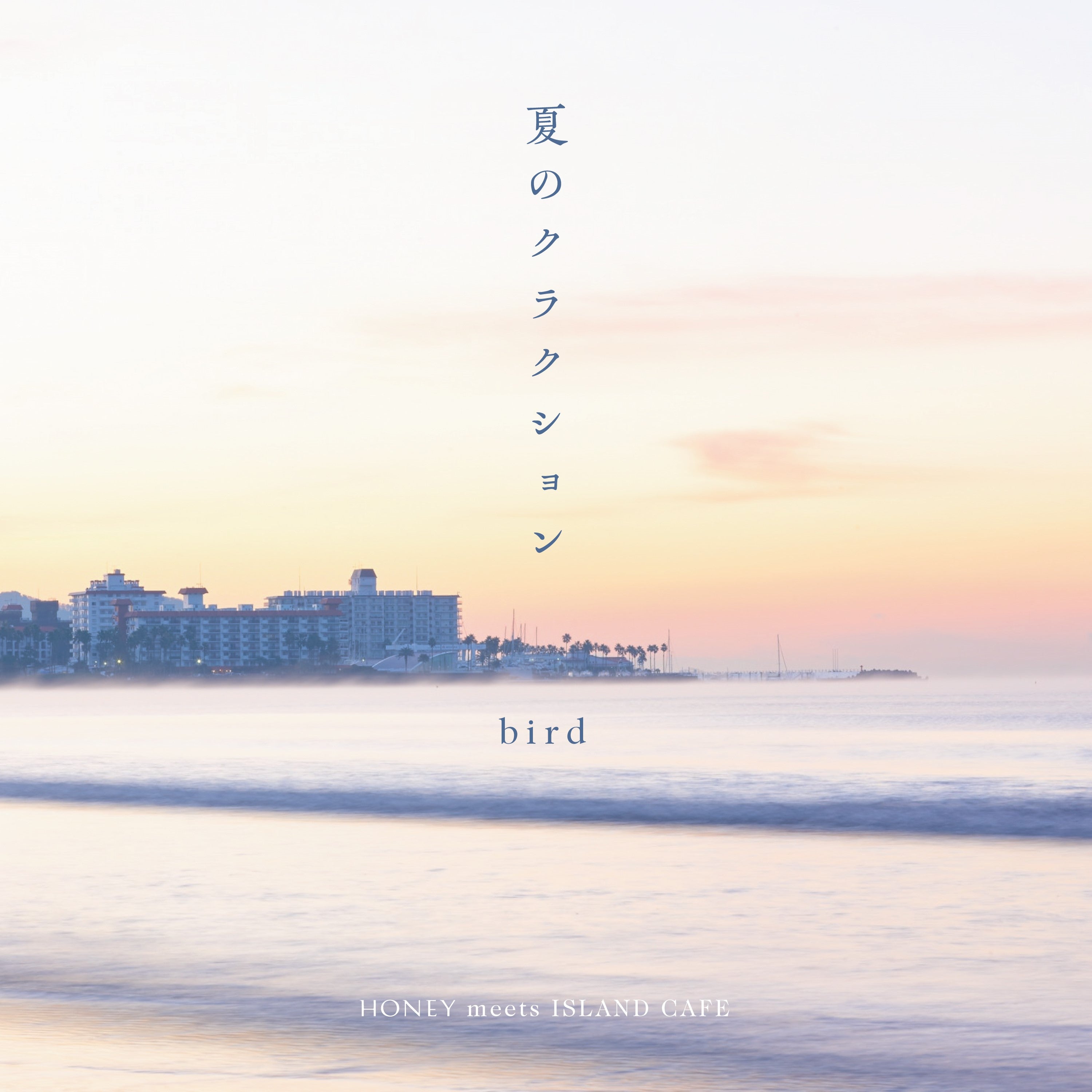 BIRD / 夏のクラクション (7 inch)