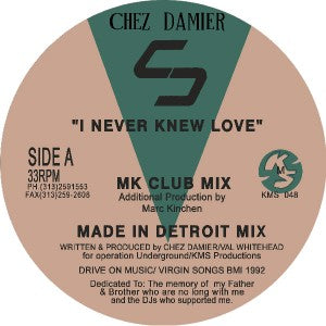 CHEZ DAMIER / I NEVER KNEW LOVE