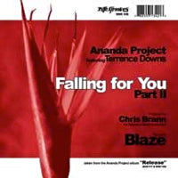 ANANDA PROJECT / FALLING FOR YOU PART2-BLAZE REMIXES (USED)