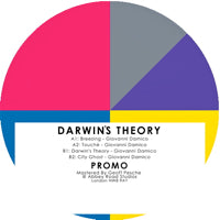 GIOVANNI DAMICO / DARWIN'S THEORY