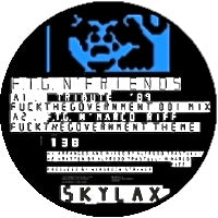 FUCKTHEGOVERNMENT / F.T.G. AND FRIENDS