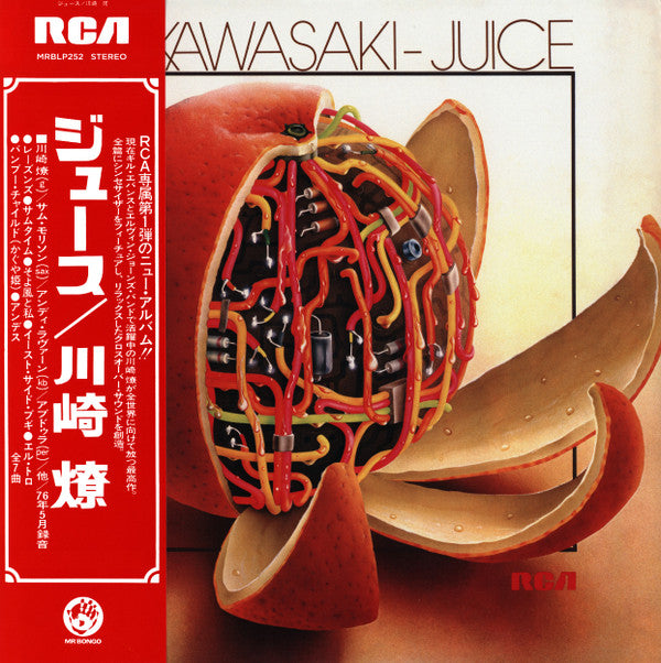 Ryo Kawasaki = 川崎燎 – Juice = ジュース