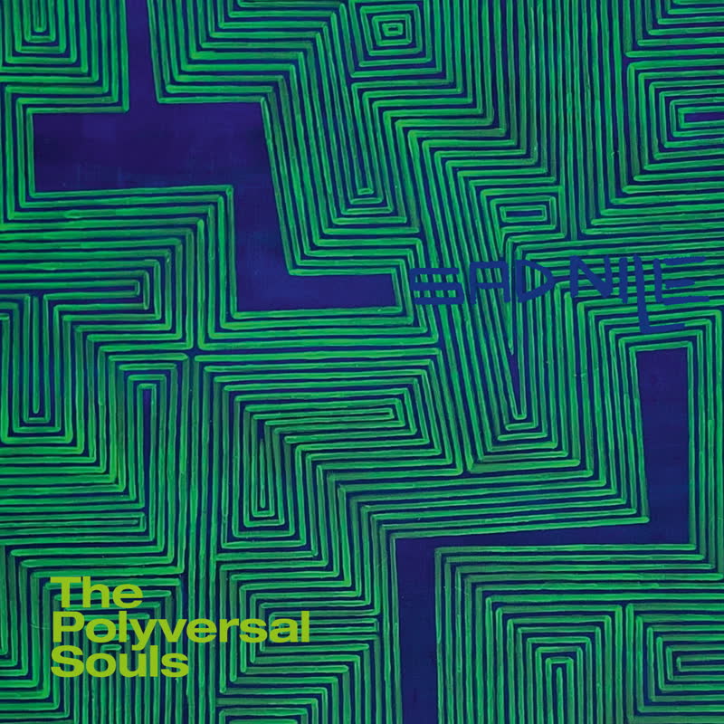 THE POLYVERSAL SOULS / SAD NILE (7 inch)