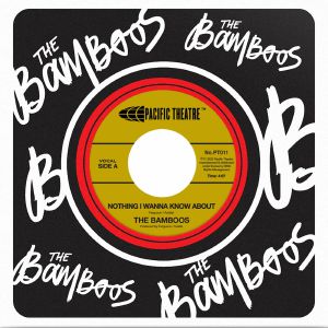 THE BAMBOOS / NOTHING I WANNA KNOW ABOUT (7inch)