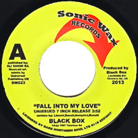 BLACK BOX / FALL INTO MY LOVE (7 inch)