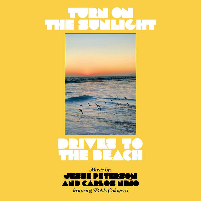 TURN ON THE SUNLIGHT / DRIVES TO THE BEACH (LP)