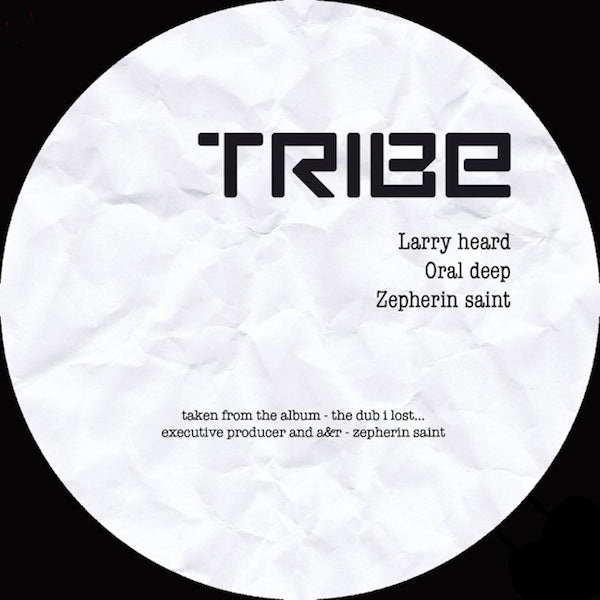 VA / THE DUB I LOST EP2 -LARRY HEARD, ZEPHERIN SAINT,ORAL DEEP REMIXE