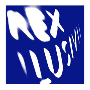 REX ILUSIVII / SELECTED WORKS (2LP)