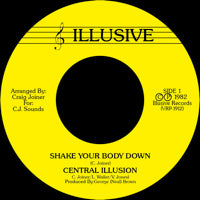 CENTRAL ILLUSION / SHAKE YOUR BODY DOWN (7 inch)