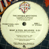 DOOBIE BROTHERS / WHAT A FOOL BELIEVE