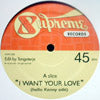 VA(TANGOTERJE) / I WANT YOUR LOVE-TANGOTERJE EDITS